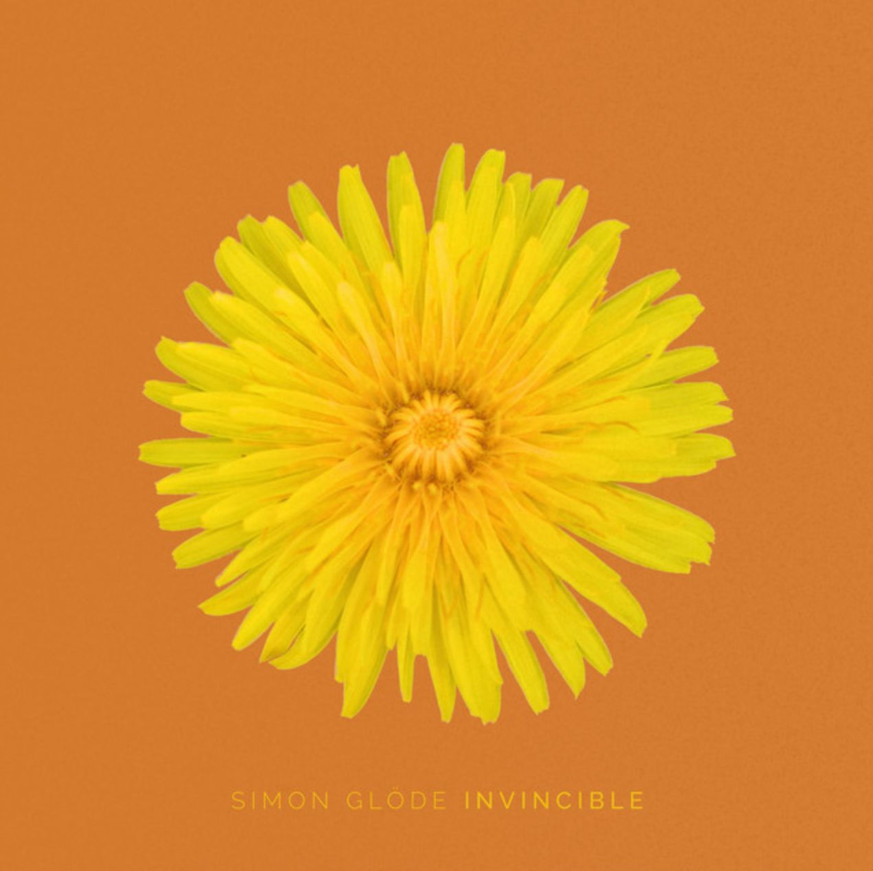 Cover de l'album Invincible de Simon Glöde